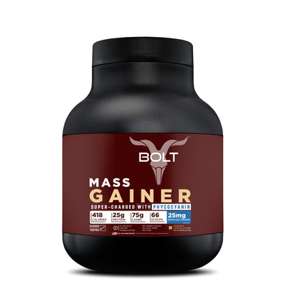 Mass & weight gainer