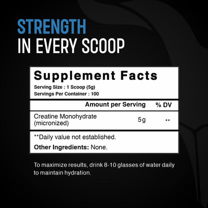 Bolt Micronized Creatine Monohydrate 3000 | With Superfood PHYCOCYANIN | USA Formulation & Origin